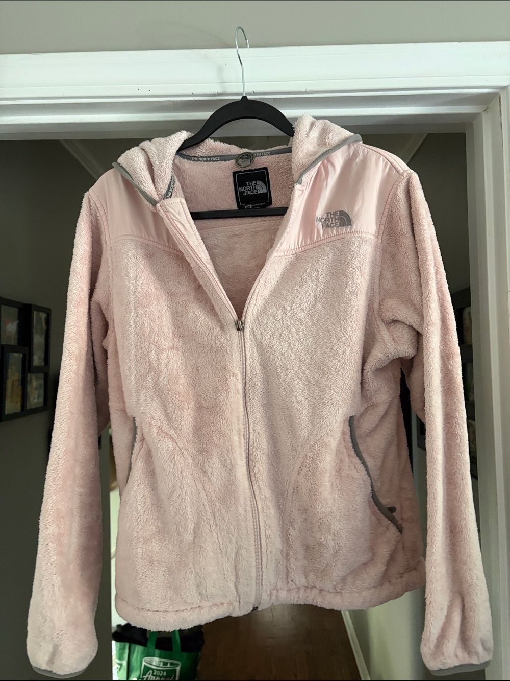 The North Face Women's Light Pink Teddy Fleece Hooded Jacket